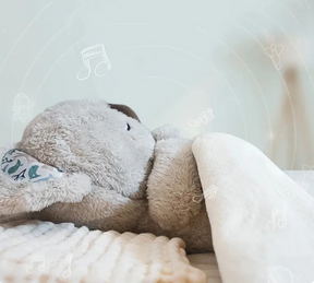 Dr. Coala • Amigo do sono