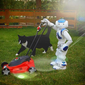 Robo de Brinquedo - Pro Motion 